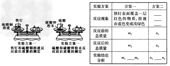 请回忆你学习过的质量守恒定律的实验探究,并