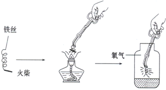为了探究“铁丝可以在纯净的氧气中燃烧”,几个同学把一段螺旋状铁丝(可能是纯铁丝或含碳铁丝)末端系一根火柴, - 上学吧找答案