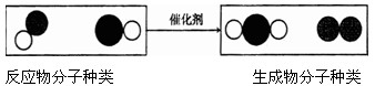 "催化转换器"可将汽车尾气中有毒气体处理为无毒气体.