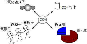 如图所示,小林对二氧化碳化学式表示的意义有如下四种