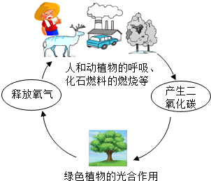 自然界中二氧化碳的循环过程如图所示:(1)吸收大气中co2的环节是 .