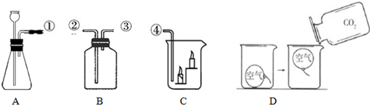 苏教版小学四年级制取二氧化碳并研究其性质的实验报告_苏教版小学四年级制取二氧化碳并研究其性质的实验报告_制取二氧化碳实验