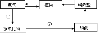 (5分)自然界由于存在氮循环而使空气中的氮气含量保持