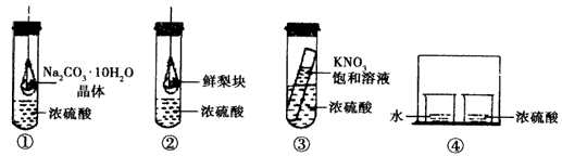 某学习兴趣小组的同学为探究浓硫酸的吸水性设计了如下实验,理论上能