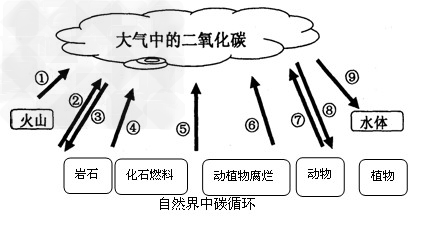 空气的成分空气是多种气体的混合物.