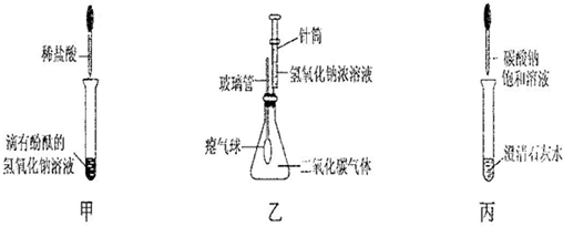行了如图所示的实验.(1)写出甲实验中盐酸和氢