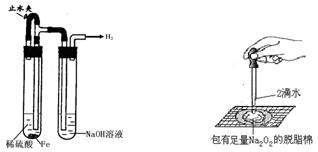 某课外实验小组设计的下列实验不合理的是a.制备并观察氢氧化亚铁b.
