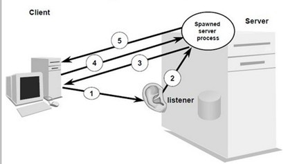 Oracle专用服务器和共享服务器连接 - 百科教程