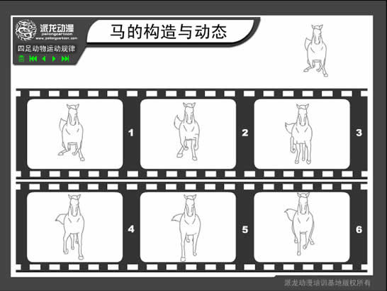 动态|技巧 Flash动画制作绘图技巧:四足动物运动规律之马的构造与动态,本文转载已经获得派龙动漫培训基地的同意,如果您想转载请自行联系派龙动漫培训基地,否则后果自负。未经作者同意,严禁转载! 一:马骨骼构造的分析图。 二:奔跑的马--正面图。 图三:奔跑的马--背面图。 图四:奔跑的马--侧面图。
