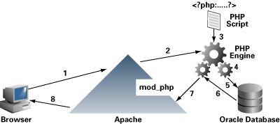 apache php mysql的关系_php apache_windows apache php mysql