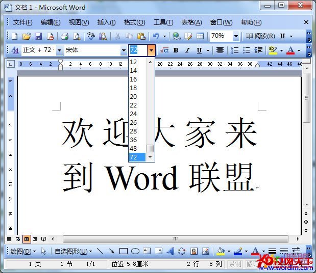 word2003文档怎么放大字体