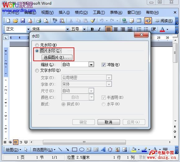 word2003图片水印的添加方法
