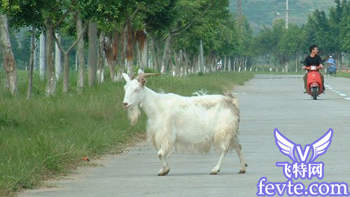 仿制图章\/图案图章 - 百科教程网_经验分享平台[上学吧经验教程频道]