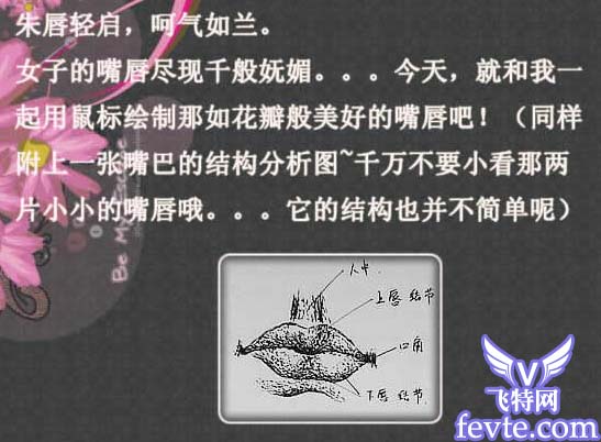 Photoshop鼠绘女性质感红润嘴唇 - 百科教程网