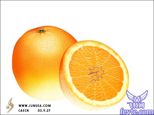 绘制鲜美的橙子 - 百科教程网_经验分享平台[上