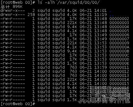 CentOS 5.8部署Web缓存服务器(Squid+Memc