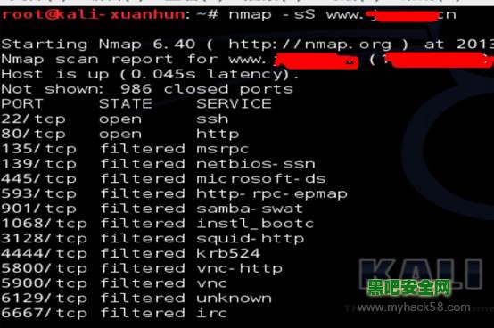 Kali Linux渗透测试实战 1.4 小试牛刀-网站安全