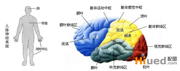 探究用户心里的秘密_交互设计 - 百科教程网_经验分享平台[上学吧经验教程频道]