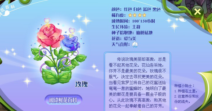 小花仙玫瑰花介绍_小花仙