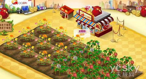 QQ农场最新种子太阳花、百香果及新装扮发布