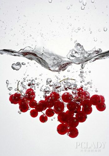 蔓越莓的功效 蔓越莓美颜首选 - 百科教程网_经