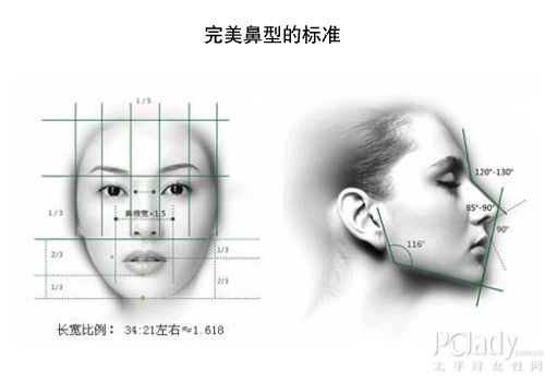 男性鼻梁应挺立,稍直.     2.