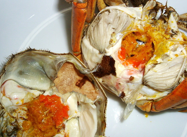 大闸蟹怎么做 大闸蟹怎么吃《吃蟹专题》大闸