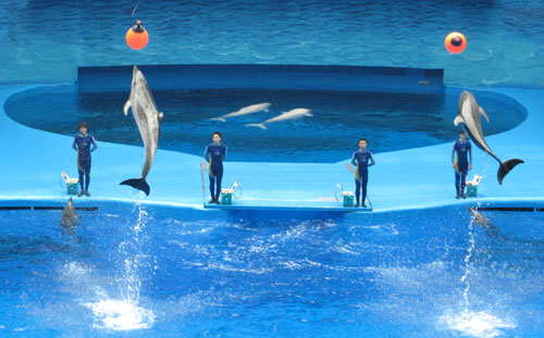 成都极地海洋世界游玩贴士 - 百科教程网_经验分享平台[上学吧经验教程频道]