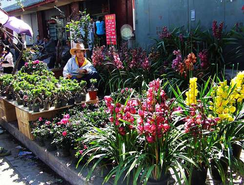 春节去丽江旅游攻略 丽江春节美食特辑 丽江春