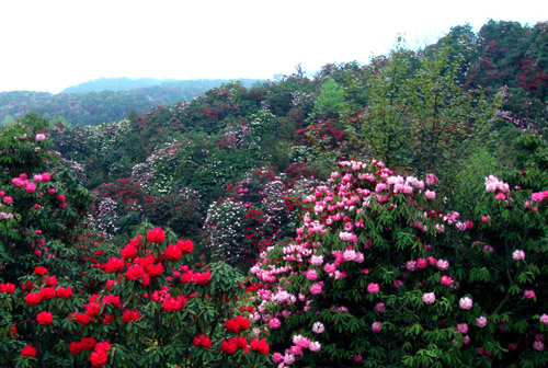 五月份去哪旅游好 春花已谢 夏至未至 十大目的