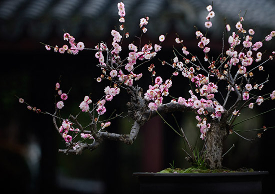 五一放假去哪玩 暮春十大精彩玩法推荐 五一放