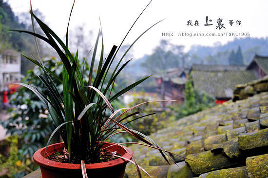 四川上里古镇旅游攻略 丝绸之路上的世外桃源