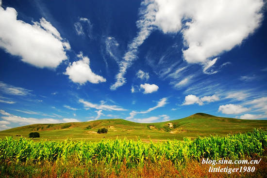 天高云淡秋色美 国内十大秋季旅游景点推荐 - 