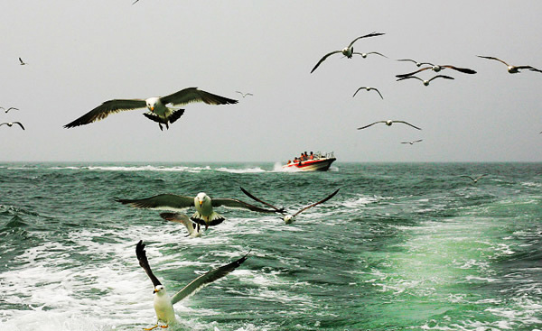 长岛有什么好玩的:月牙湾、万鸟岛、姊妹礁、