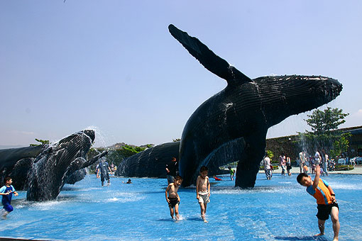 垦丁国家公园 台湾垦丁旅游 台湾垦丁地图 - 百科教程网_经验分享平台[上学吧经验教程频道]