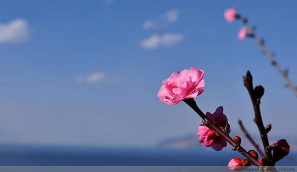 三月去哪里旅游最好 春暖花开最美出游地 三月