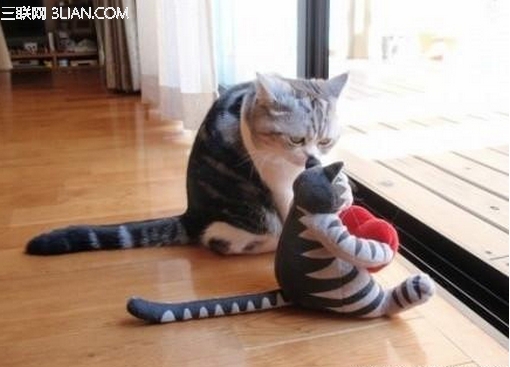 你养我长大,我陪你变老 - 百科教程网_经验分享