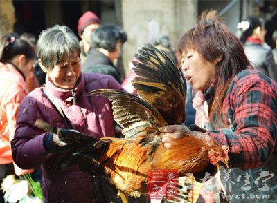 深圳发文要求活禽摊档休市 仍有商贩偷售 - 百