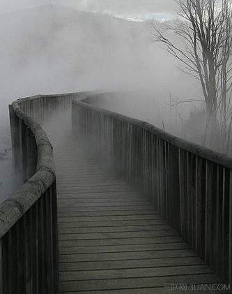 回忆是座桥,却是通往寂寞的牢