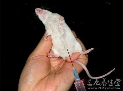 通常包括稀释细胞,按不同稀释量注射到小鼠体内