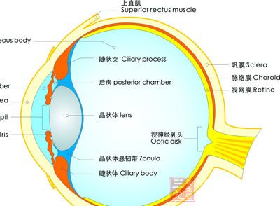 角膜炎的症状