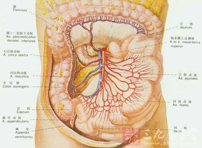 小孩肚子疼是怎么回事 小孩肚子疼如何饮食