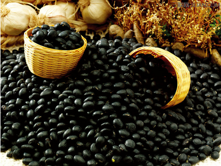 <em>长头发</em>吃什么好 - 百科教程网_经验分享平台[上