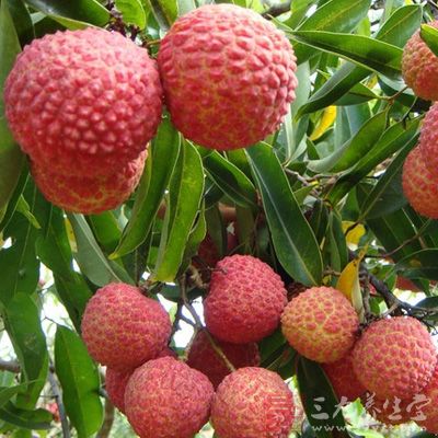 肾虚吃什么补 男人补肾食疗运动两不误 - 百科