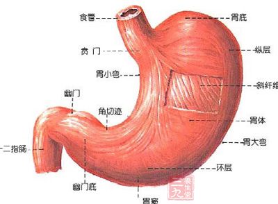 胃癌早期症状 治疗胃癌有哪些方法