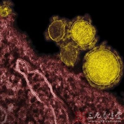 罕见血型女子手术 江苏仅两人可救她 - 百科教