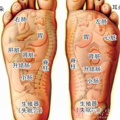 脚底的穴位其实跟我们身体器官都是关联的