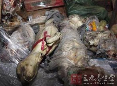 霍计武称让僵尸肉彻底去见鬼吧 - 百科教程