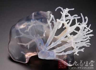 3D打印技术在医疗保健领域的4大新奇应用 - 百