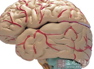 解读2015中国脑血管病一级预防指南 - 百科教